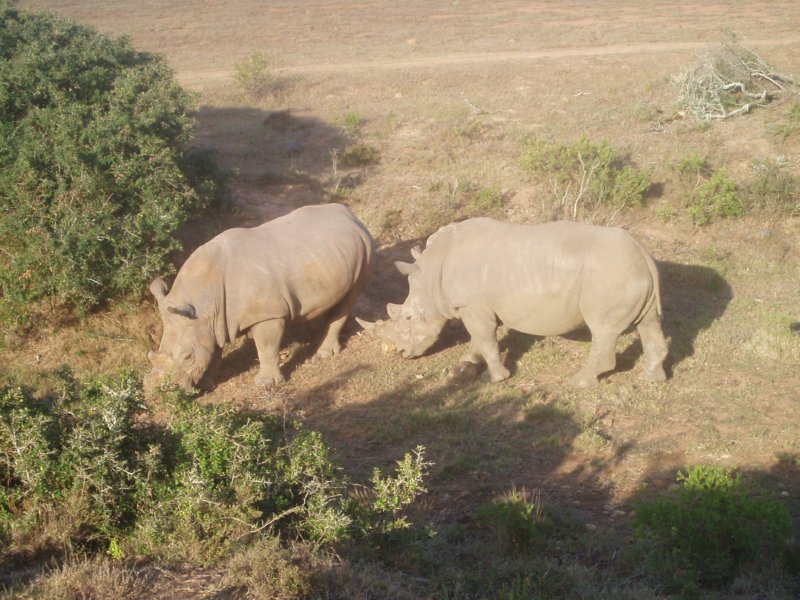 KeHa_in_South_Africa - 203